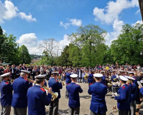 IMG-20250508-WA0010 (FILEminimizer)